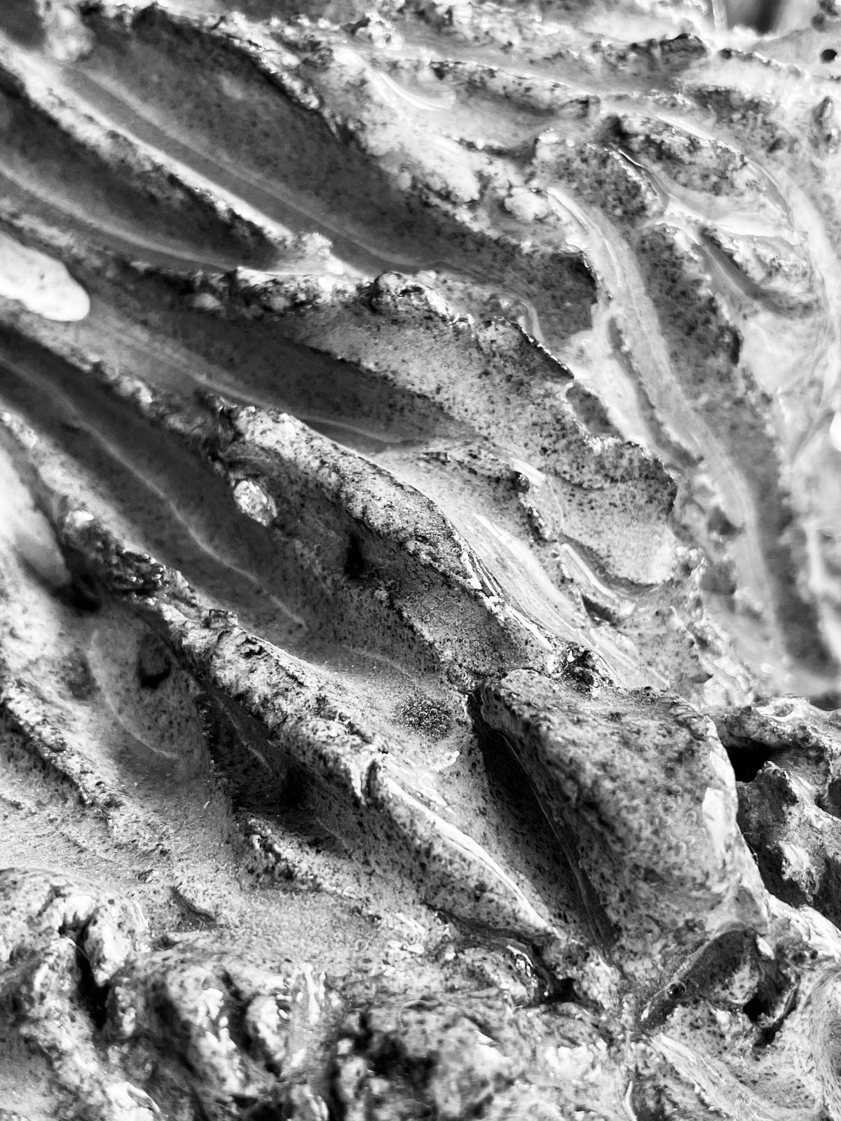 Fine Art Prints